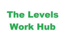 The levels work hub logo