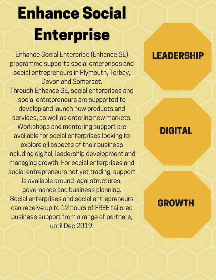 Enhance social enterprise information
